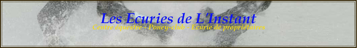 Les Ecuries de L'Instant